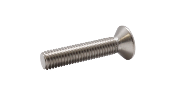 M10X100 Stainless Steel Socket Countersunk Screw - 316